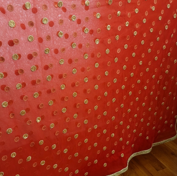 Indian Red Net Sari - Picture 6 of 6